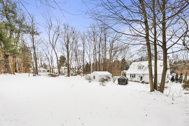 view of yard covered in snow