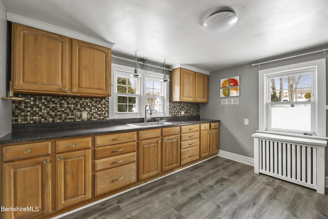 kitchen featuring dark hardwood / wood-style flooring, sink, radiator, and tasteful backsplash