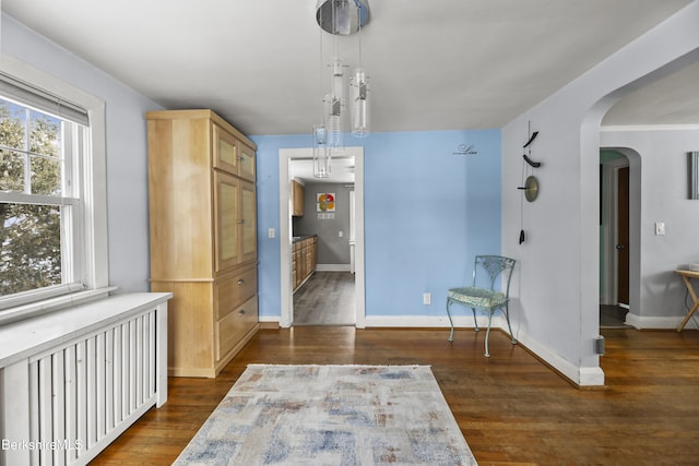 interior space featuring radiator heating unit and dark hardwood / wood-style floors