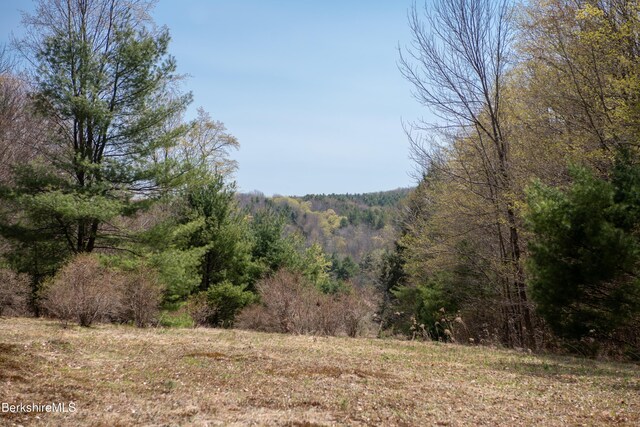 207-209 Main St, Becket, MA 01223 - view of landscape featuring a forest view
