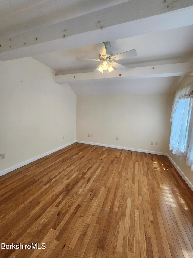 147 Cole Ave, Pittsfield, MA 01201 - photo 17