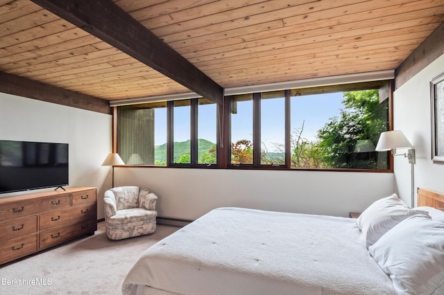 21 Kalliste Hl, Great Barrington, MA 01230 - carpeted bedroom featuring wood ceiling with exposed beams, multiple windows, and a baseboard heating unit