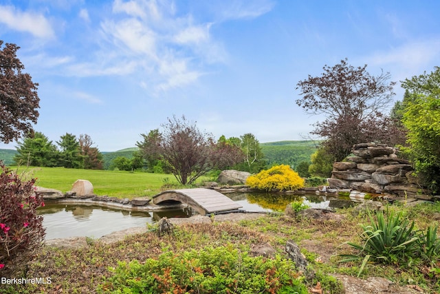 21 Kalliste Hl, Great Barrington, MA 01230 - view of grassy yard featuring a boat dock