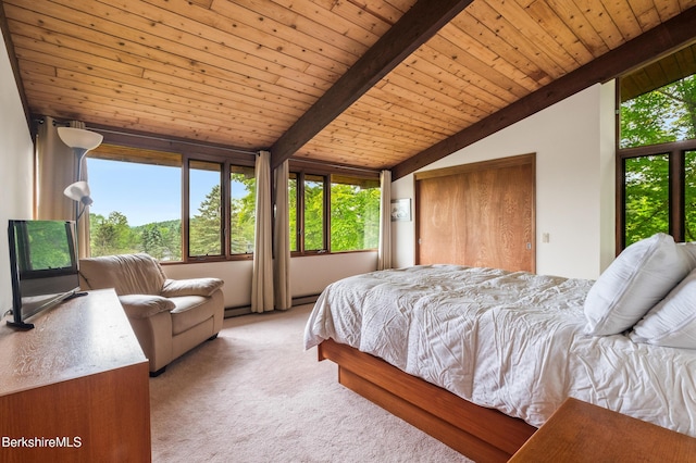 21 Kalliste Hl, Great Barrington, MA 01230 - bedroom with light carpet and wood ceiling