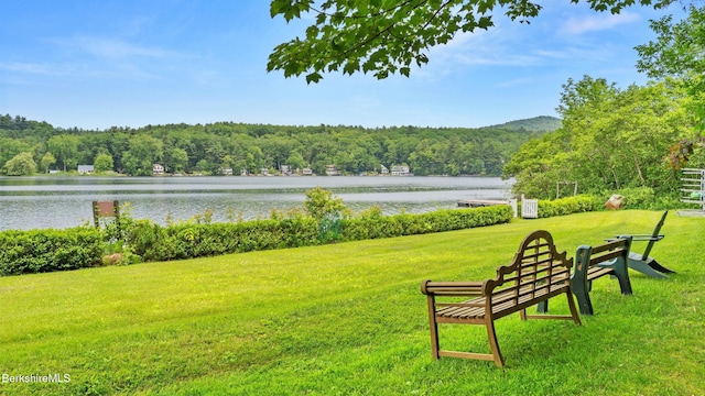 247 Peter Menaker Rd, New Marlborough, MA 01230 - surrounding community featuring a wooded view, a water view, and a yard