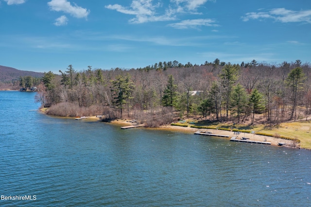 247 Peter Menaker Rd, New Marlborough, MA 01230 - water view with a heavily wooded area