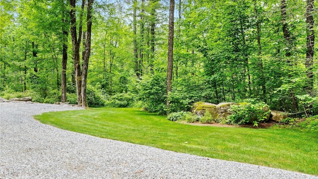 247 Peter Menaker Rd, New Marlborough, MA 01230 - view of green lawn featuring a wooded view