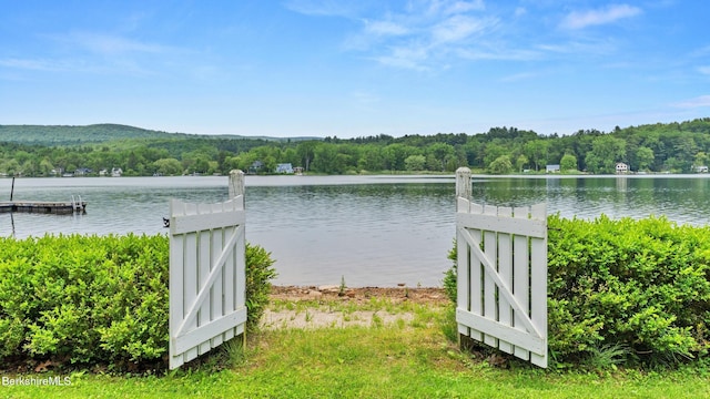 247 Peter Menaker Rd, New Marlborough, MA 01230 - water view featuring a forest