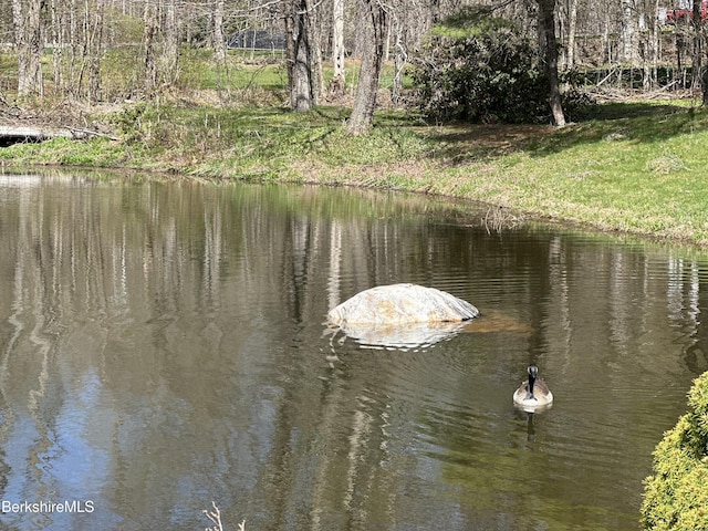 1689 E Windsor Rd, Windsor, MA 01270 - water view