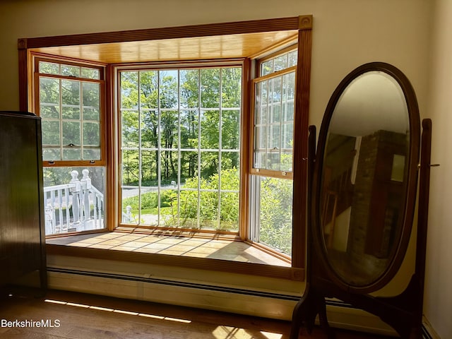 1689 E Windsor Rd, Windsor, MA 01270 - detailed view of a baseboard heating unit