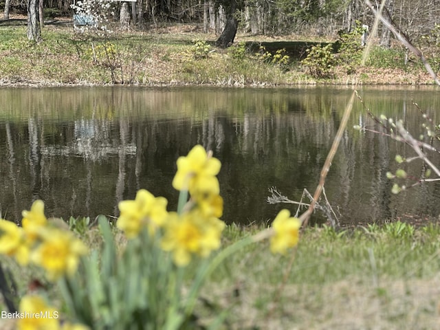 1689 E Windsor Rd, Windsor, MA 01270 - water view