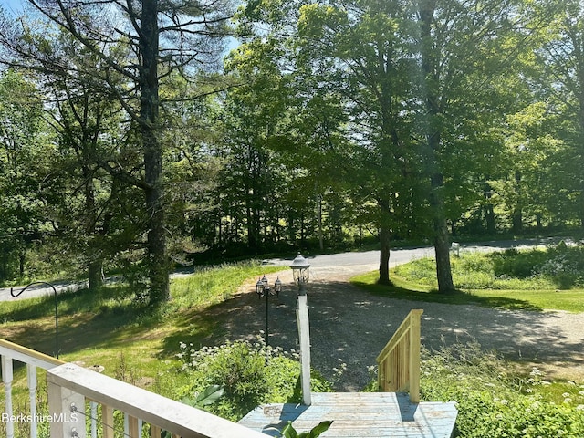 1689 E Windsor Rd, Windsor, MA 01270 - view of yard