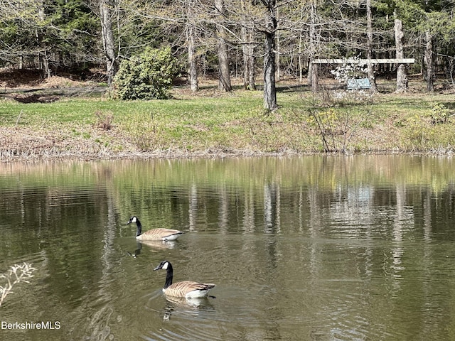 1689 E Windsor Rd, Windsor, MA 01270 - water view