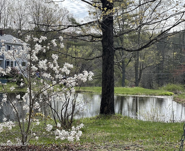 1689 E Windsor Rd, Windsor, MA 01270 - water view featuring a heavily wooded area