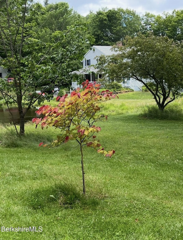 1689 E Windsor Rd, Windsor, MA 01270 - view of green lawn
