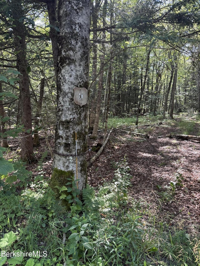 50 Scott Rd, Savoy, MA 01256 - photo 6
