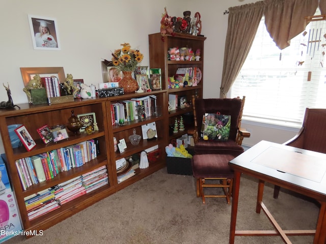 94 Gale Ave, Pittsfield, MA 01201 - sitting room featuring carpet floors