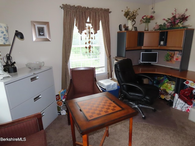 94 Gale Ave, Pittsfield, MA 01201 - home office with carpet floors