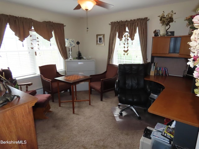 94 Gale Ave, Pittsfield, MA 01201 - carpeted home office with ceiling fan and baseboard heating