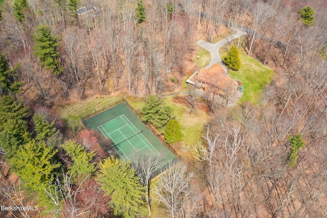 bird's eye view