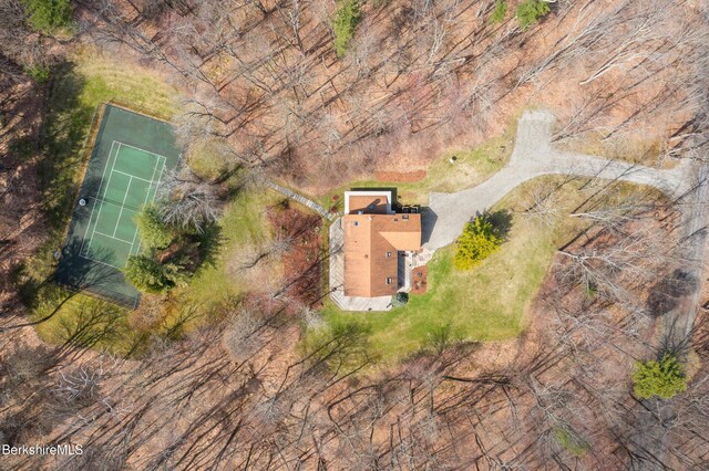 bird's eye view