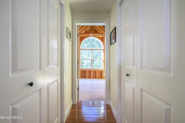 corridor featuring dark hardwood / wood-style floors