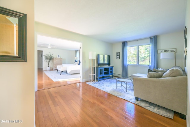 living room featuring ceiling fan and wood-type flooring