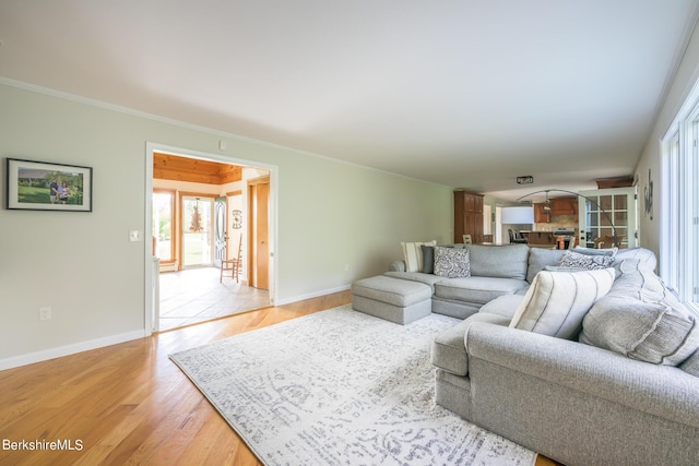 living room with light hardwood / wood-style floors