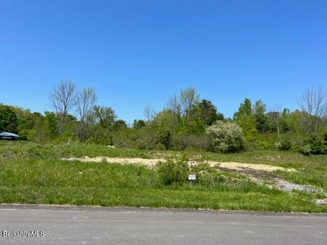 5 Aspen Way, Pittsfield, MA 01201 - photo 17