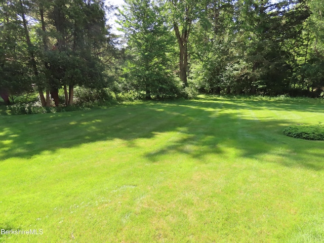 175 Bulkley St, Williamstown, MA 01267 - photo 100