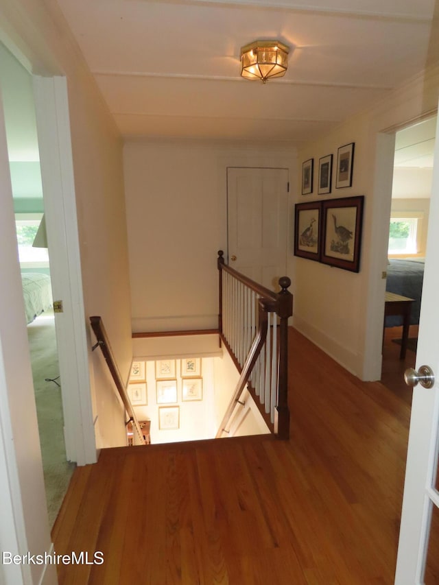 175 Bulkley St, Williamstown, MA 01267 - photo 53