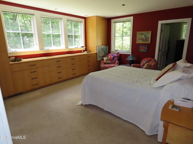 175 Bulkley St, Williamstown, MA 01267 - photo 56