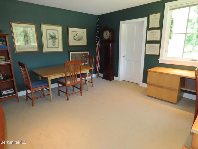 175 Bulkley St, Williamstown, MA 01267 - photo 63