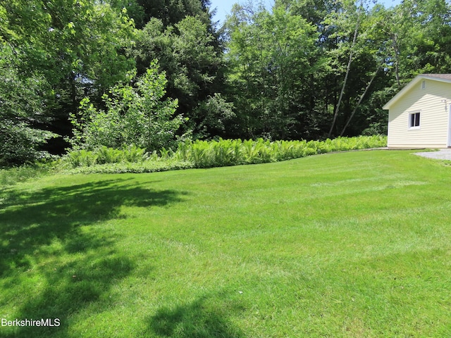 175 Bulkley St, Williamstown, MA 01267 - photo 101