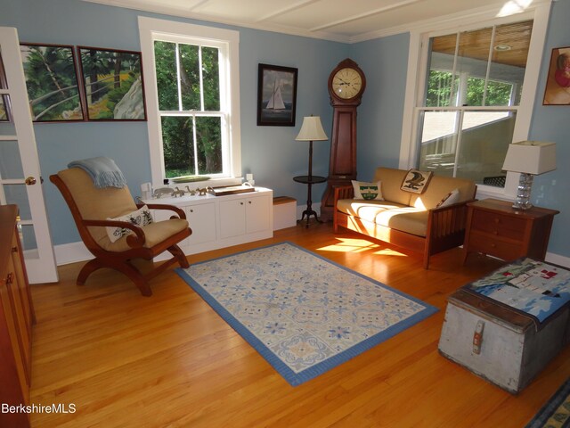 175 Bulkley St, Williamstown, MA 01267 - photo 27