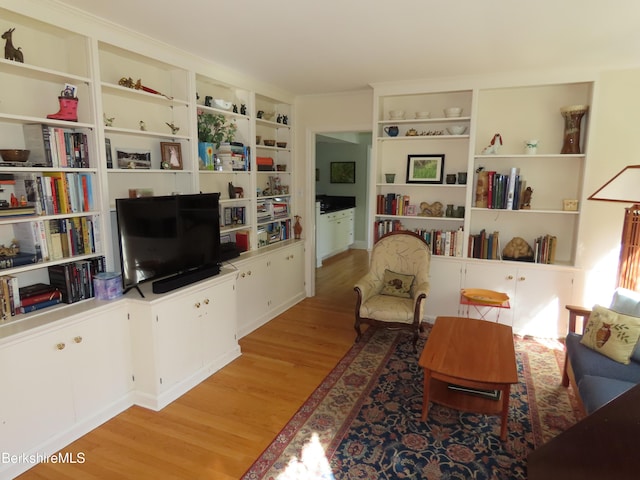 175 Bulkley St, Williamstown, MA 01267 - photo 31