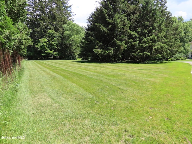 175 Bulkley St, Williamstown, MA 01267 - photo 97