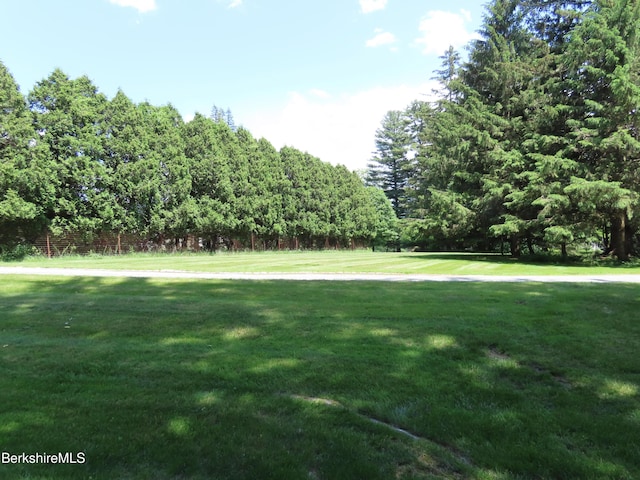 175 Bulkley St, Williamstown, MA 01267 - photo 96