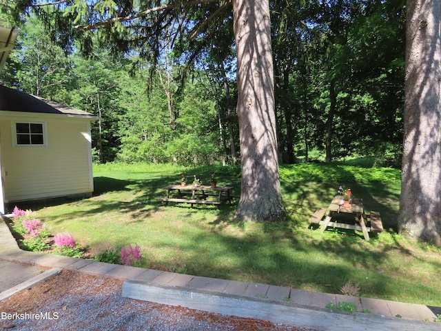 175 Bulkley St, Williamstown, MA 01267 - photo 87
