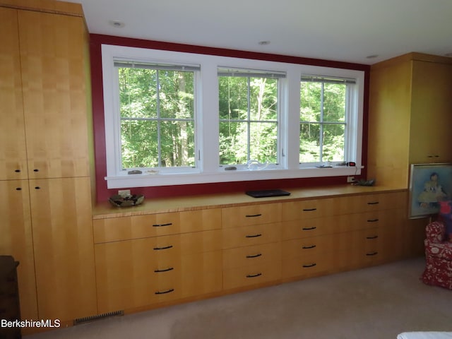 175 Bulkley St, Williamstown, MA 01267 - photo 58