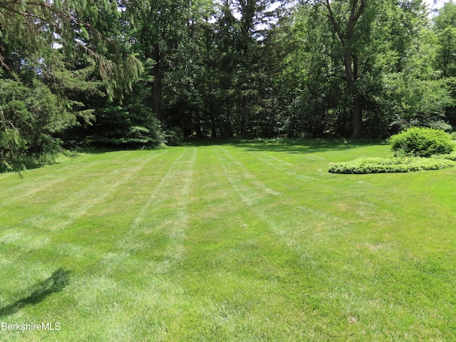 175 Bulkley St, Williamstown, MA 01267 - photo 98