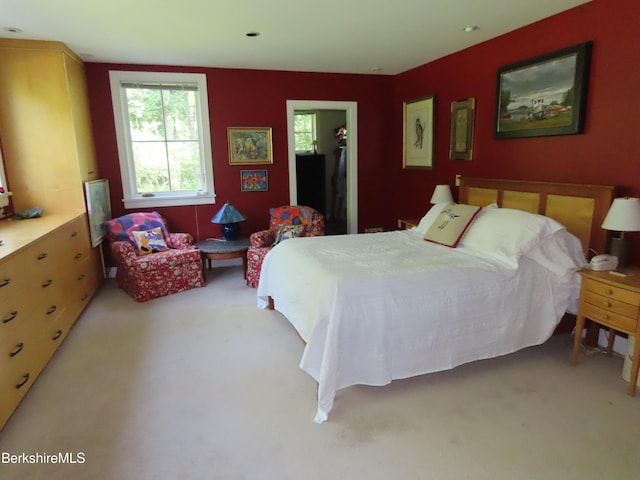 175 Bulkley St, Williamstown, MA 01267 - photo 55