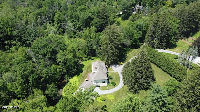 175 Bulkley St, Williamstown, MA 01267 - photo 111