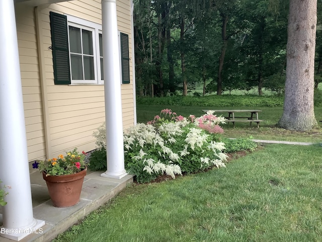 175 Bulkley St, Williamstown, MA 01267 - photo 81