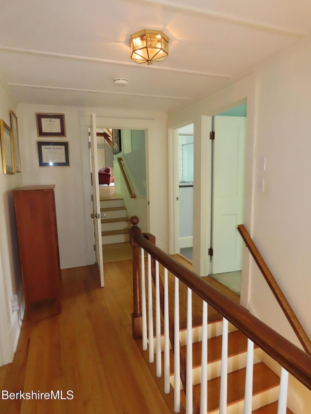 175 Bulkley St, Williamstown, MA 01267 - photo 35