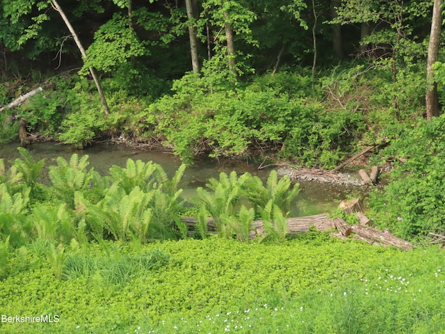 175 Bulkley St, Williamstown, MA 01267 - photo 21