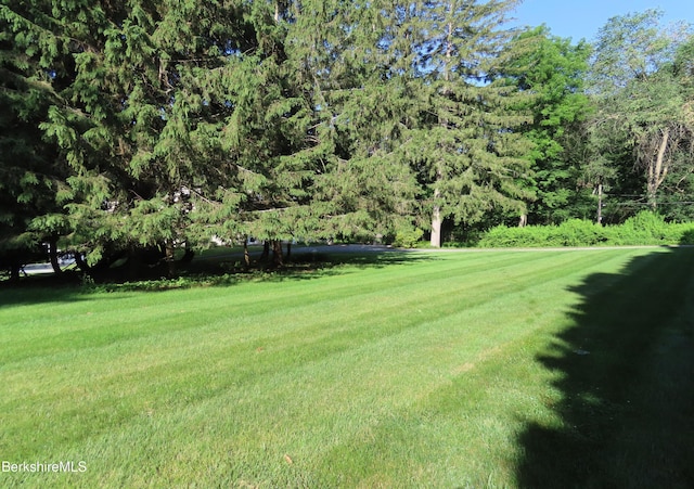 175 Bulkley St, Williamstown, MA 01267 - photo 99