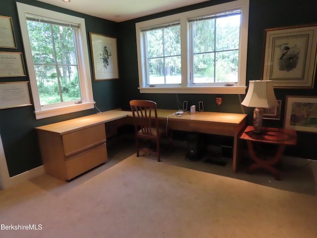175 Bulkley St, Williamstown, MA 01267 - photo 64