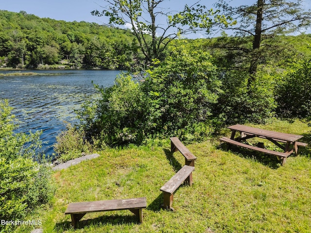 119 Hayes Pond Rd, Otis, MA 01253 - photo 46