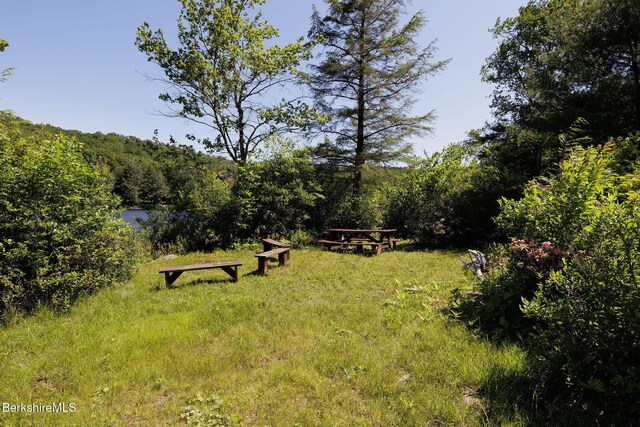 119 Hayes Pond Rd, Otis, MA 01253 - photo 44
